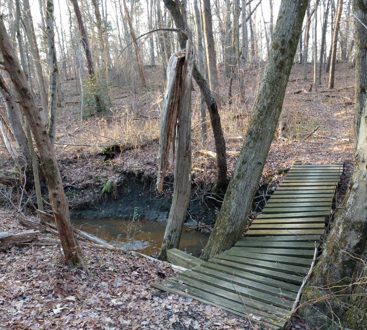 gloucester-county-college-trail-system-photo